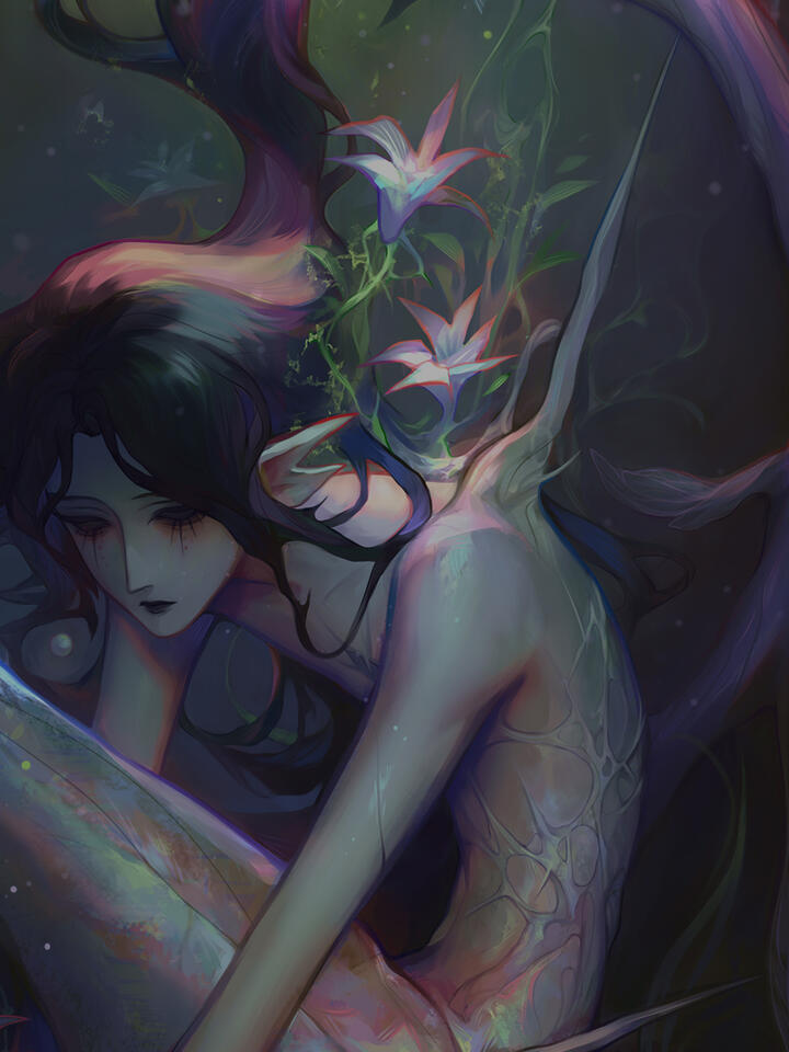 Illustrations